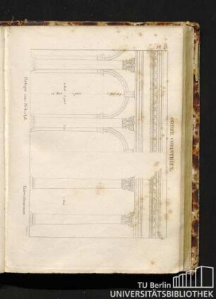 Pl. 23. Ordre Corinthien. Portique sans Piédestal. Entrecolonnement.
