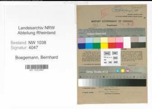 Entnazifizierung Bernhard Boegemann , geb. 05.06.1907 (Bankangestellter)