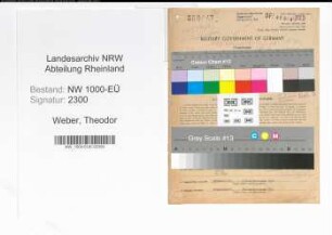 Entnazifizierung Theodor Weber, geb. 19.01.1890 (Apotheker)