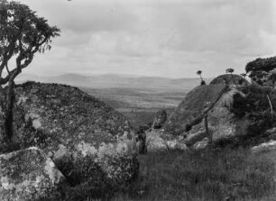 Kopje : Blick über die Savanne Tansanias von einem Kopje (Inselberg) aus