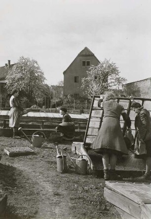 Dresden-Mockritz, Pflegearbeiten am Frühbeet