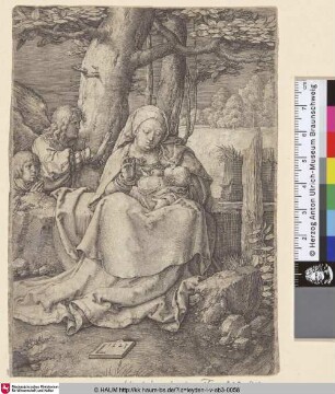 [Maria mit dem Kind und zwei Engeln; The Virgin and Child with two Angels]