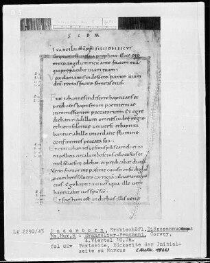 Evangeliar-Fragment: Textseite aus Markus, fol. 82v