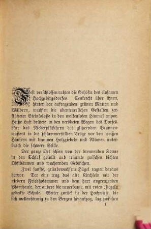 Ein Verrückter : Kampf und Ende eines Lehrers