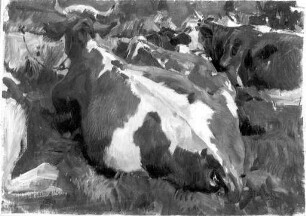 Liegende Kühe im Stall