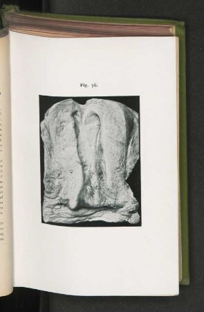 Fig. 76.