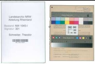 Entnazifizierung Theodor Schneider , geb. 18.07.1890 (Ingenieur)