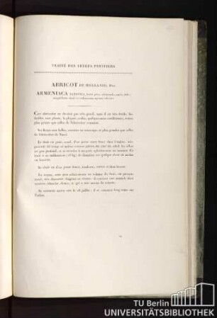 Traité des arbres fruitiers. Abricot de hollande. Duh. Armeniaca batavica, fructu parvo, subrotundo, nucleo dulci, amygdalinum simul et avellanaceum saporem referente.