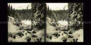 Verschneite Landschaft an der unteren Lomnitz