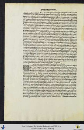 Incipit liber decimus nonus…