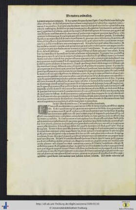Incipit liber decimus nonus…