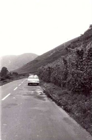 Foto Straße am Weinberg entlang