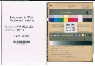 Entnazifizierung Walter Thies , geb. 19.09.1916 (Fahrlehrer)