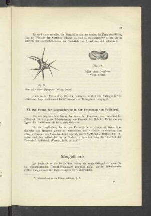 VI. Die Fauna der Elbeniederung in der Umgebung von Podiebrad