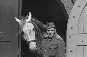 Zweiter Weltkrieg. Niederlande unter deutscher Besatzung. Wehrmachtsangehöriger, ein Pferd am Zügel aus dem Stall führend (wohl bei Den Haag)