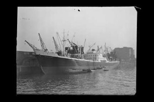 Belgrano (1953), Frachtschiff, HSDG, Hamburg, Bau-Nr. 435