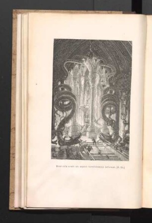 Tout cela avait un aspect terriblement infernal. (P. 25.)