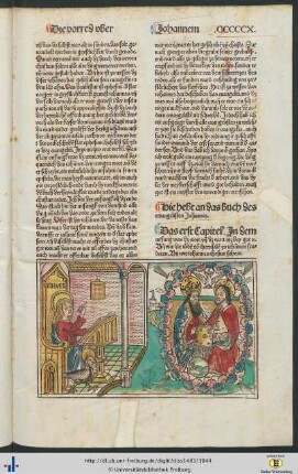 Das buch des ewangelisten Johannis