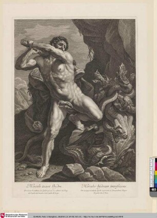Hercule tuant l'hydre; Hercules hydram interficiens
