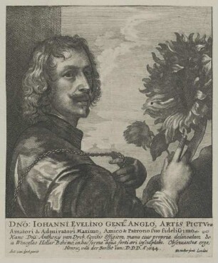 Bildnis des Iohannes Evelinus