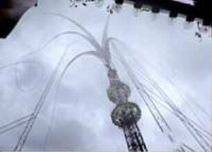 The Centrifuge Brain Project (2011)