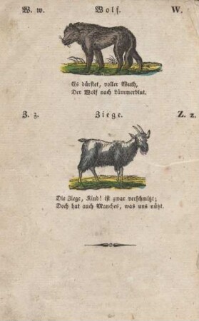 Wolf. Ziege.