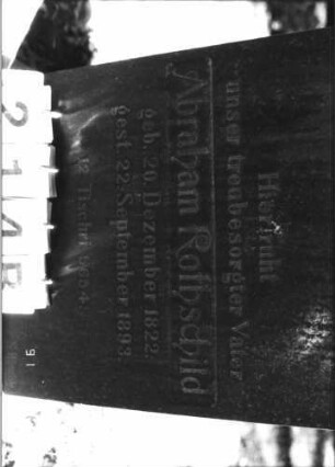 Grabstein 214 [Hahn S. 184 Grab-Nr. 918]: Grabstein 214B [Hahn S. 184 Grab-Nr. 918]