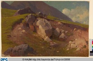 Felsen in einer Wiesenlandschaft