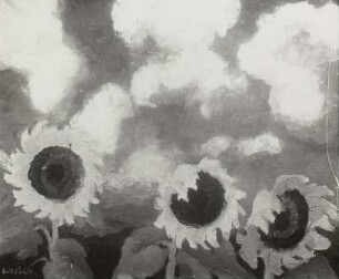 Sonnenblumen im Winde