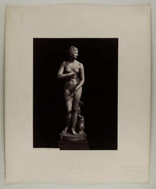 1835. Venere de Medici (Firenze)