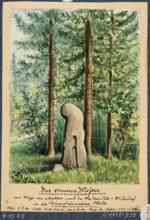 Das "Steinerne Messer" (Sühnekreuz) am Weg von Malter zur Heidemühle in Karsdorf in der Dippoldiswalder Heide