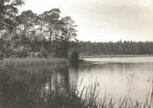 Moritzburg. Partie am Sophienteich
