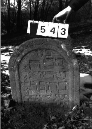 Grabstein 543