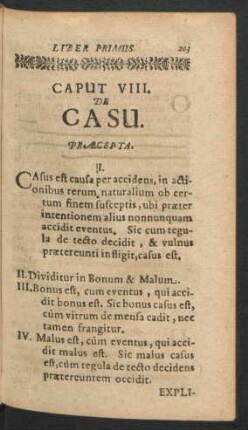 Caput VIII. De Casu.