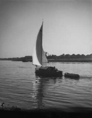 Dresden. Segelboote auf der Elbe zwische Blasewitz und Pillnitz