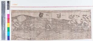 Heidelberg, Stadt und Schloss von Norden (Panorama)