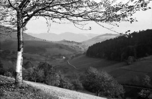 Münsterhalden: Fernblick zum Kleinen Wiesental; Vordergrund Straße