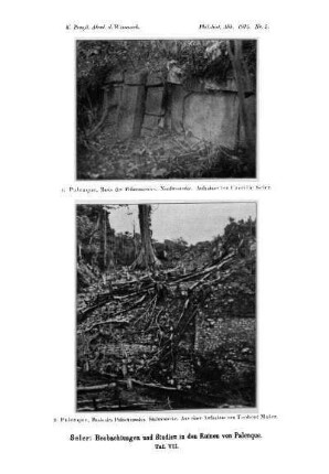 Taf. VII. - [Palenque, Basis des Palastmassivs, Nordwestecke und Südwestecke.]