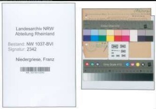 Entnazifizierung Franz Niedergriese , geb. 20.10.1902 (Krankenpfleger)