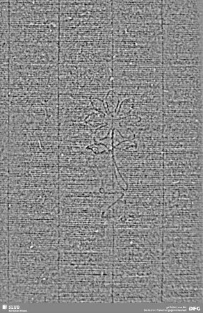 Wasserzeichen S.5_6
