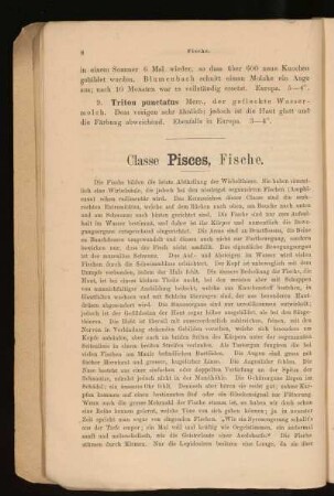 Classe Pisces, Fische