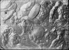 Prunk-Rundschild, Detail