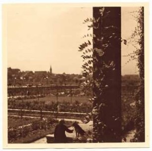 Marktplatz, Hindenburg: Gärten des Kamillianer-Ordens am Marktplatz