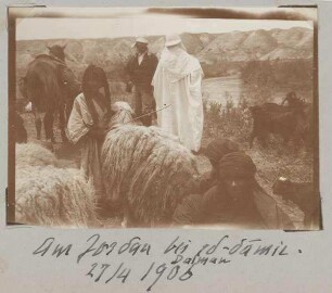 Am Jordan bei ed-damir [Ed-damie]. Dalman 27/4 1906