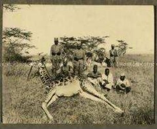 Askari bei einer toten Giraffe