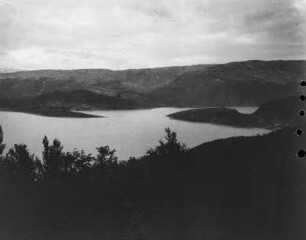 Rombaksfjord : Blick von einer Anhöhe auf den Verlauf des Rombakfjords. Im Vordergrund Vegetation.