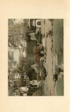A bit of a Japanese garden