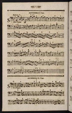 Antiphona VI.
