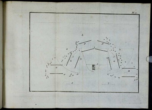 Pl. 8.