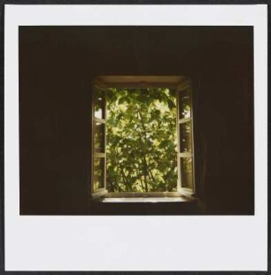 Fenster in den Garten von Puy-Saint-Martin